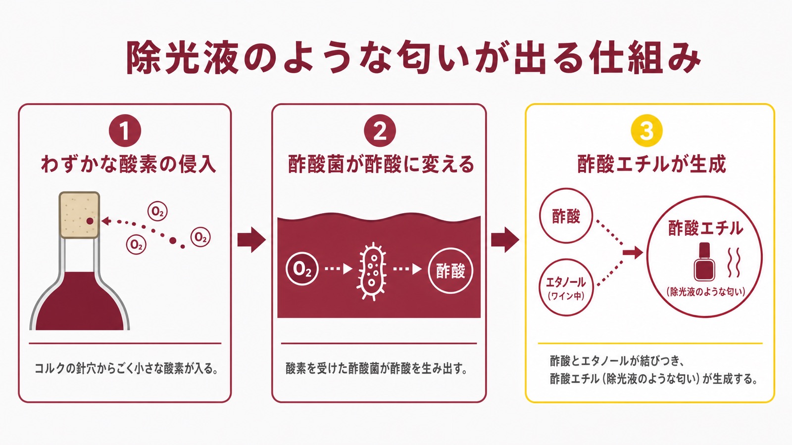 コラヴァン使用時に酢酸エチルが生成される仕組みの図解